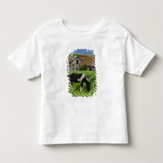 Pferde auf einem Feld im Palouse 2 Kleinkind T-shirt (Vorderseite)
