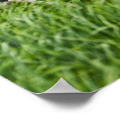 Pferde auf einem Feld im Palouse 2 Poster (Ecke)