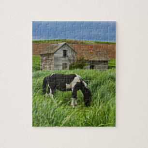 Pferde auf einem Feld in der Palouse 2 betrachten Puzzle