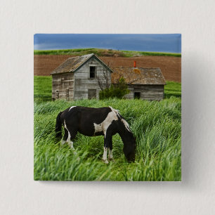 Pferde auf einem Feld in der Palouse 2 Button