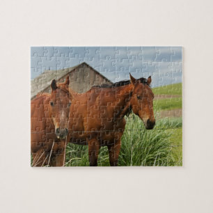 Pferde auf einem Feld in der Palouse 3 betrachten Puzzle