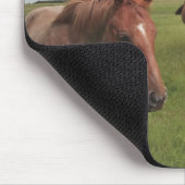 Pferde auf einem Feld Mousepad (Ecke)