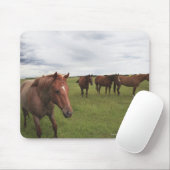 Pferde auf einem Feld Mousepad (Mit Mouse)
