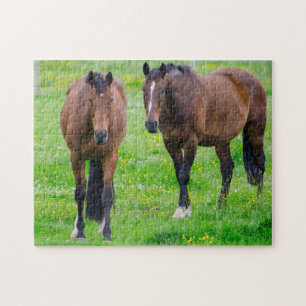 Pferde auf einem Feld Puzzle