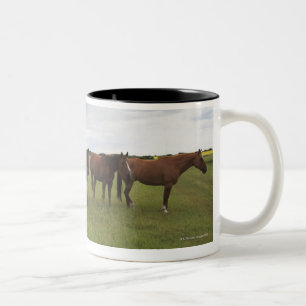 Pferde auf einem Feld Zweifarbige Tasse