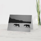 Pferde auf Schnee GCCNA Karte (Vorderseite)