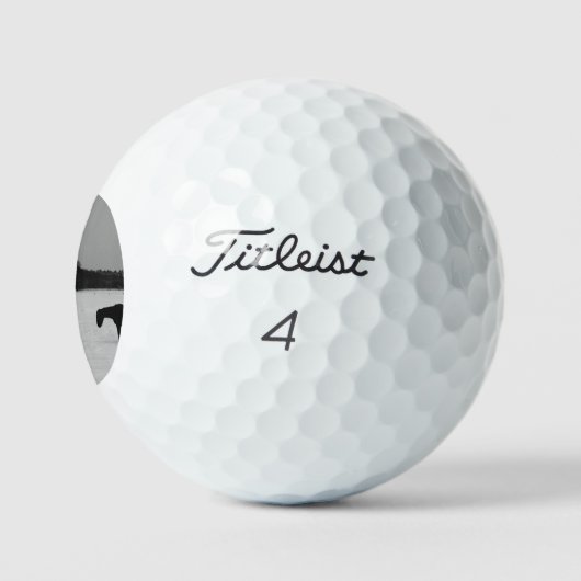 Pferde auf Schnee tpv1 gbcna Golfball (Logo)