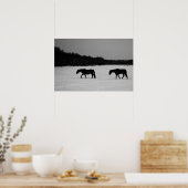 Pferde auf Schnee Wapcna Poster (Küche)