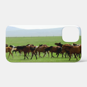 Pferde auf Weide - Landschaftsfotografie iPhone 12 Mini Hülle