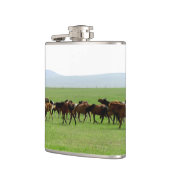 Pferde auf Weide - Landschaftsfotografie Flachmann (Links)