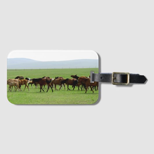 Pferde auf Weide - Landschaftsfotografie Gepäckanhänger (Vorderseite (Horizontal))
