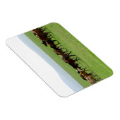 Pferde auf Weide - Landschaftsfotografie Magnet (Rechte Seite)