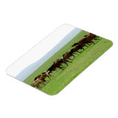 Pferde auf Weide - Landschaftsfotografie Magnet (Linke Seite)