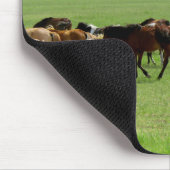 Pferde auf Weide - Landschaftsfotografie Mousepad (Ecke)