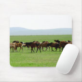 Pferde auf Weide - Landschaftsfotografie Mousepad (Mit Mouse)