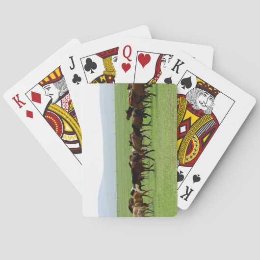 Pferde auf Weide - Landschaftsfotografie Spielkarten (Rückseite)