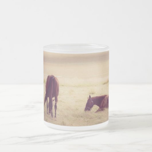 Pferde auf Weide Mattglastasse (Mittel)
