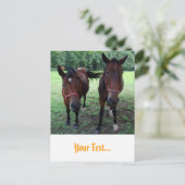 Pferde auf Weide Postkarte (Stehend Vorderseite)