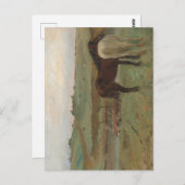 Pferde auf Wiese, Ölgemälde, Edgar Degas Postkarte (Vorne/Hinten)