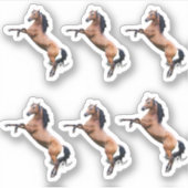 Pferde Aufkleber (Vorderseite)