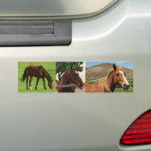 Pferde Autoaufkleber (Auf Auto)
