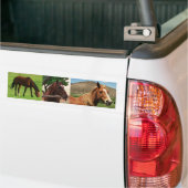 Pferde Autoaufkleber (Auf Lkw)