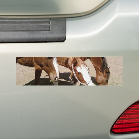 Pferde Autoaufkleber (Auf Auto)