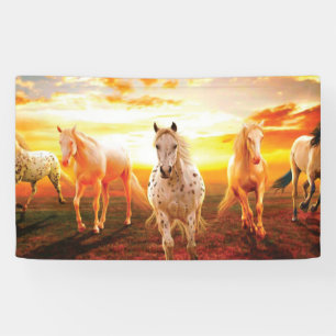 Pferde bei Sonnenuntergang Kissen Banner