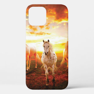 Pferde bei Sonnenuntergang Kissen Case-Mate iPhone Hülle
