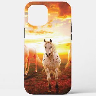 Pferde bei Sonnenuntergang Kissen Case-Mate iPhone Hülle
