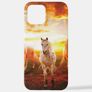 Pferde bei Sonnenuntergang Kissen iPhone 12 Pro Max Hülle