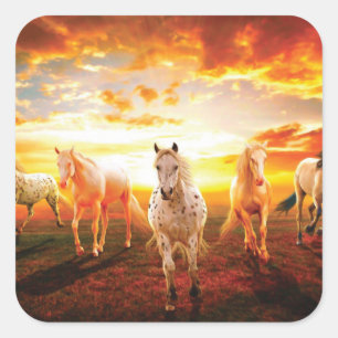 Pferde bei Sonnenuntergang Kissen Quadratischer Aufkleber