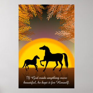 Pferde bei Sonnenuntergang Poster