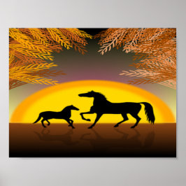Pferde bei Sonnenuntergang Poster