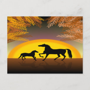 Pferde bei Sonnenuntergang Postkarte