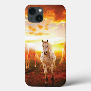 Pferde bei Sonnenuntergang Wurfkissen Case-Mate iPhone Hülle