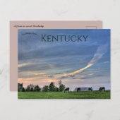 Pferde bei Sunset in Lexington Kentucky Postkarte (Vorne/Hinten)