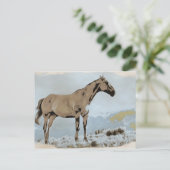 *~* Pferde - Berge AR22 Western Postkarte (Stehend Vorderseite)