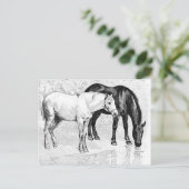 Pferde, Bleistift gezeichnet Postkarte (Stehend Vorderseite)