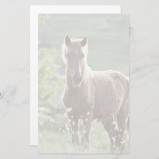 Pferde Briefpapier (Vorne/Hinten)