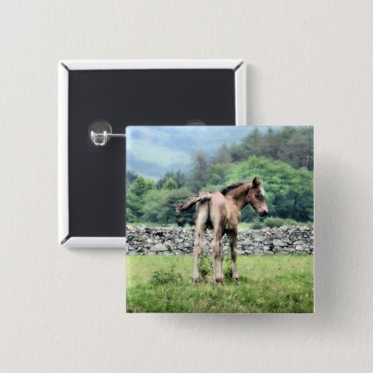 PFERDE BUTTON (Vorne & Hinten)