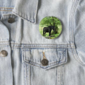 PFERDE BUTTON (Beispiel)