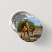 Pferde Button (Vorne & Hinten)