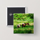 PFERDE BUTTON (Vorne & Hinten)