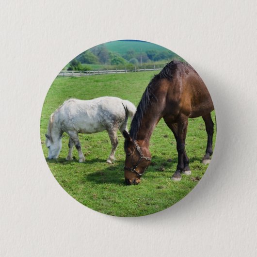 Pferde Button (Vorderseite)
