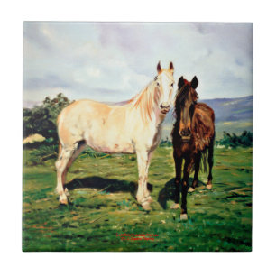 Pferde/Cabalos/Horses Fliese