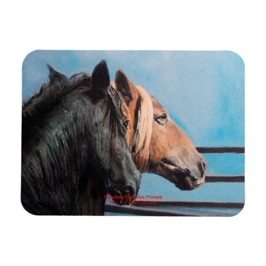 Pferde/Cabalos/Horses Magnet (Horizontal)