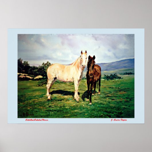 Pferde/Cabalos/Horses Poster (Vorne)