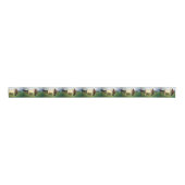 Pferde/Cabalos/Horses Ripsband (Vorderseite)
