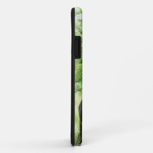 PFERDE Case-Mate iPhone HÜLLE (Hinten/Rechts)